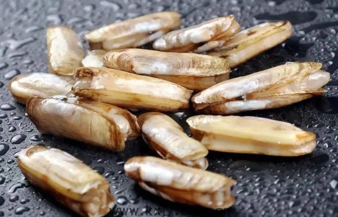 你还在用丝瓜炒蛋?换个搭配鲜出新高度(图1) 你还在用丝瓜炒蛋?换个搭配鲜出新高度(图1)