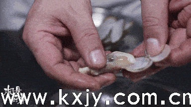 你还在用丝瓜炒蛋?换个搭配鲜出新高度(图18) 你还在用丝瓜炒蛋?换个搭配鲜出新高度(图18)