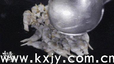 你还在用丝瓜炒蛋?换个搭配鲜出新高度(图22) 你还在用丝瓜炒蛋?换个搭配鲜出新高度(图22)