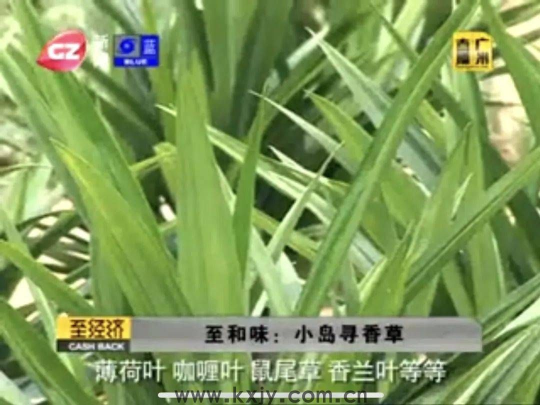 看到菜单的时候，我就决定为它坐一小时的地铁。(图4)