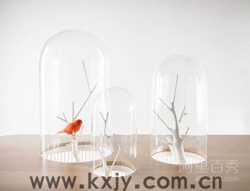 鸟笼桌，让你的宠物鸟儿生活更美好--开心家园