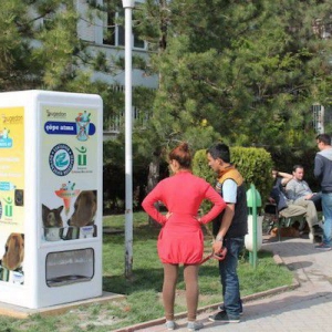 新型环保自动贩卖机，可为流浪猫狗提供食物